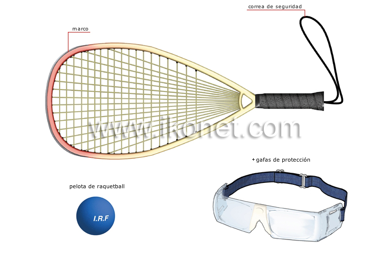 raqueta de raquetball image