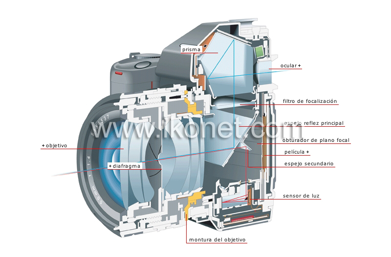 sección transversal de una cámara reflex image
