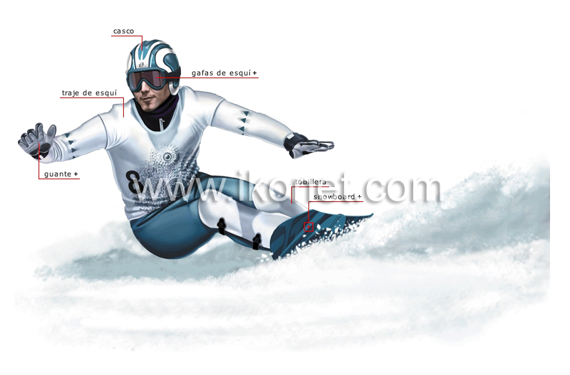 snowboarder image