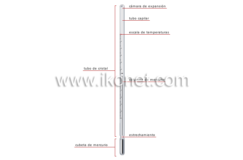 termómetro clínico image
