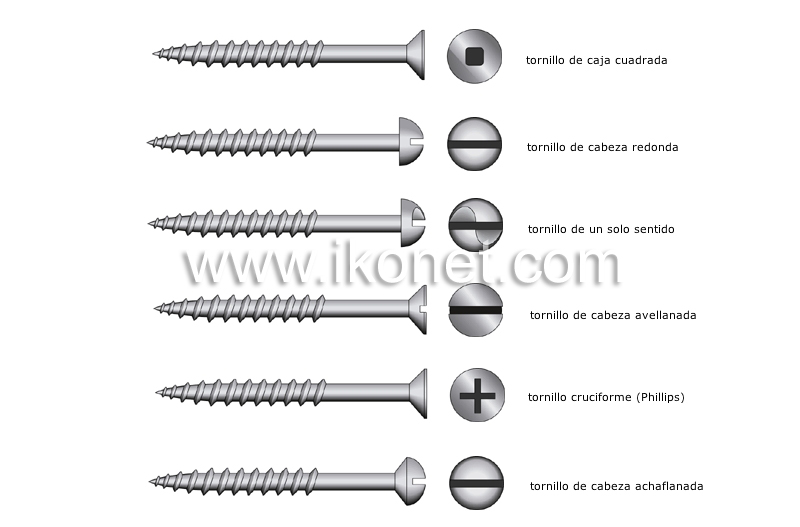 tipos de cabeza image