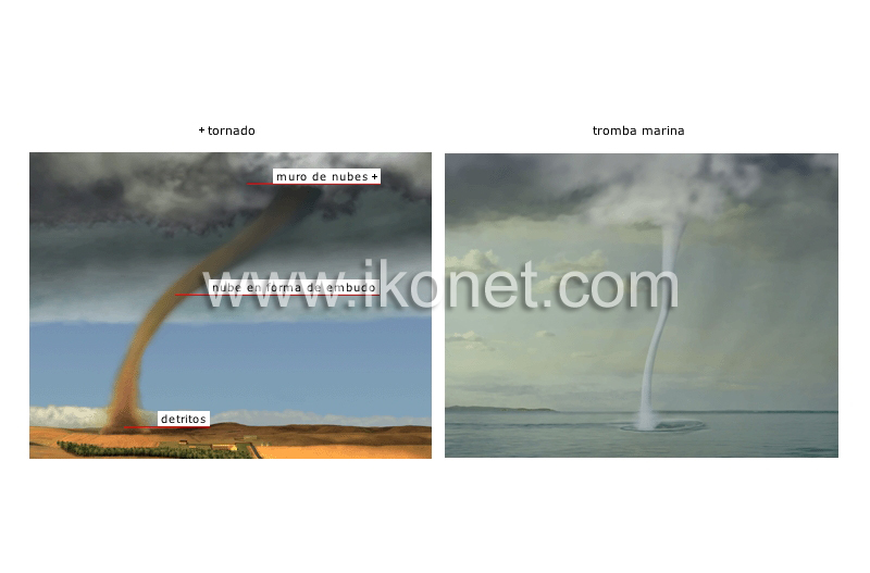 tornado y tromba marina image