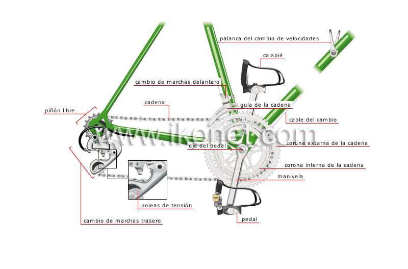 transmisión de cadena image