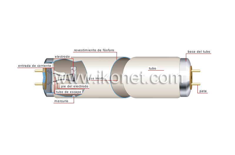 tubo fluorescente image