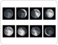 phases de la Lune image