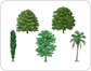 exemples d’arbres feuillus image