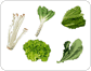 légumes feuilles image