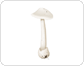 champignon mortel