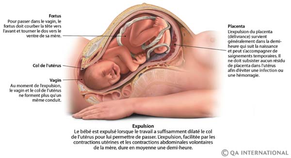 Comprendre le corps des femmes pendant l'accouchement