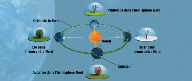 Le cycle des saisons