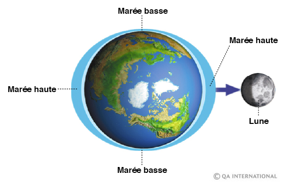 La force d’attraction de la Lune