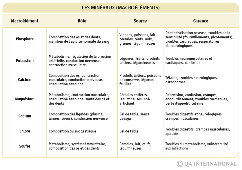 Les macroéléments