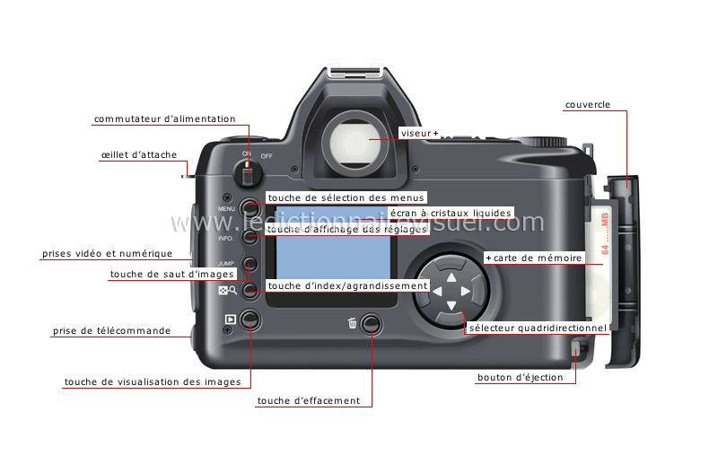 appareil à visée reflex numérique : dos image