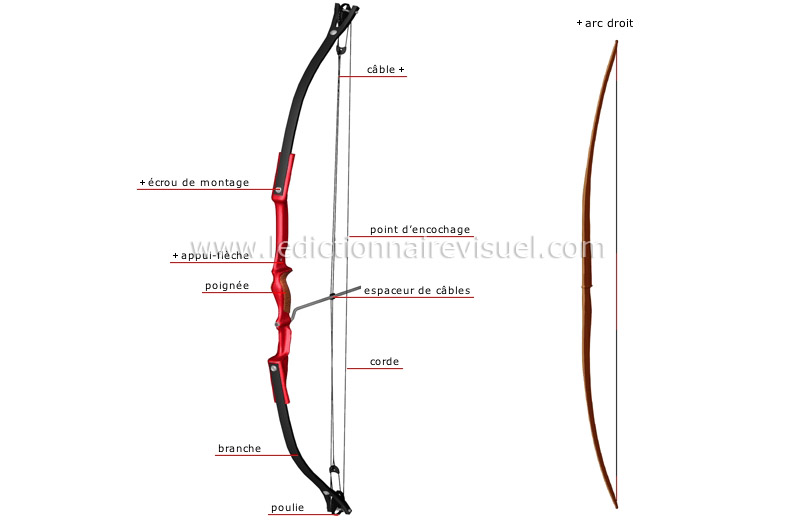 sports et jeux > sports de précision > tir à l'arc > arc à poulies image -  Dictionnaire Visuel