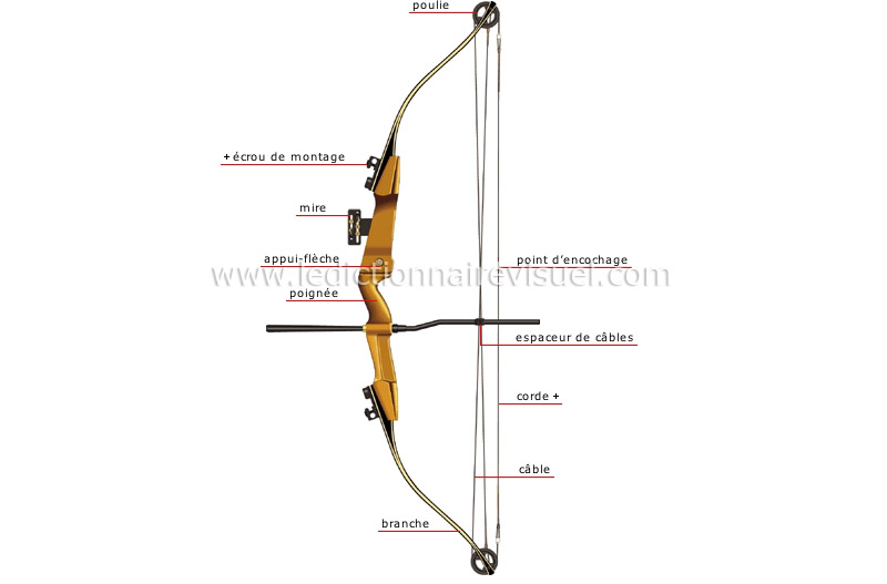 sports et jeux > loisirs de plein air > chasse > arc à poulies image -  Dictionnaire Visuel