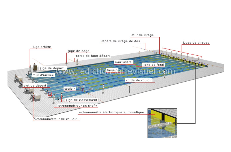 bassin de compétition image