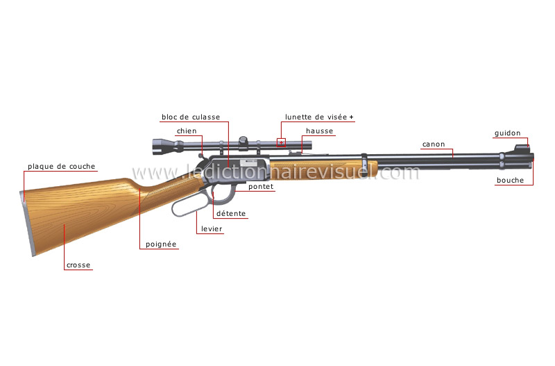 carabine (canon rayé) image
