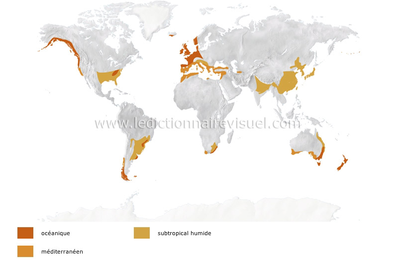 climats tempérés chauds image