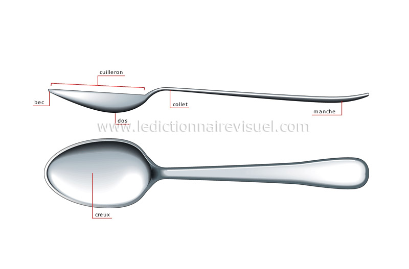 alimentation et cuisine > cuisine > couvert > exemples de cuillers image -  Dictionnaire Visuel