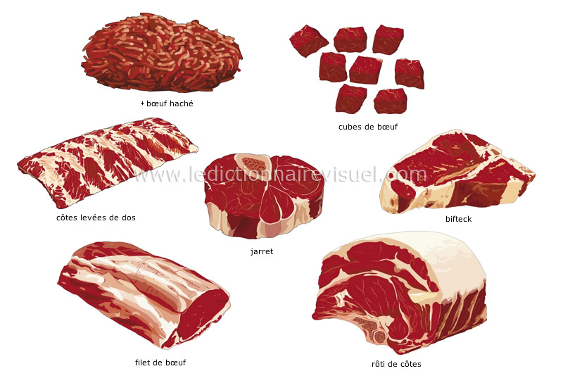 alimentation et cuisine > alimentation > viande > découpes de bœuf image -  Dictionnaire Visuel
