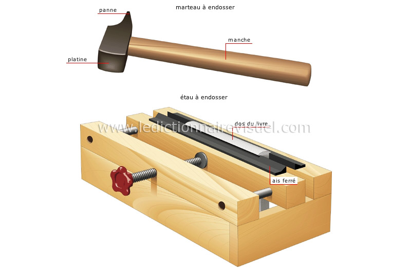 endossure image