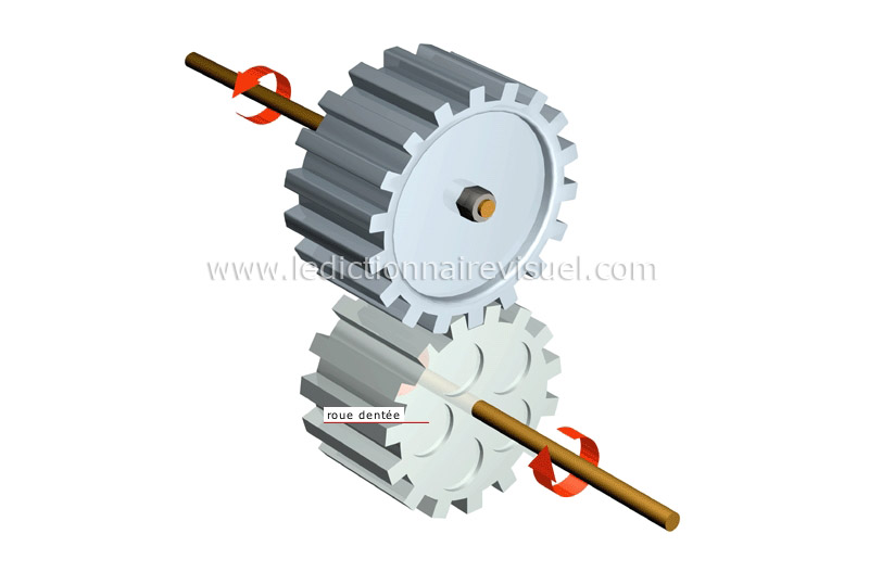 engrenage cylindrique à denture droite image