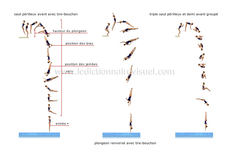 exemples de plongeons image