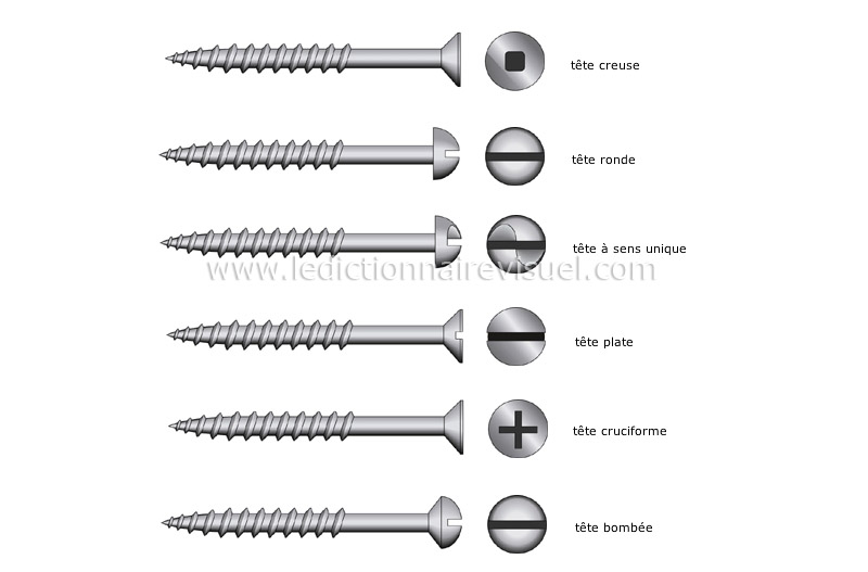 exemples de têtes image