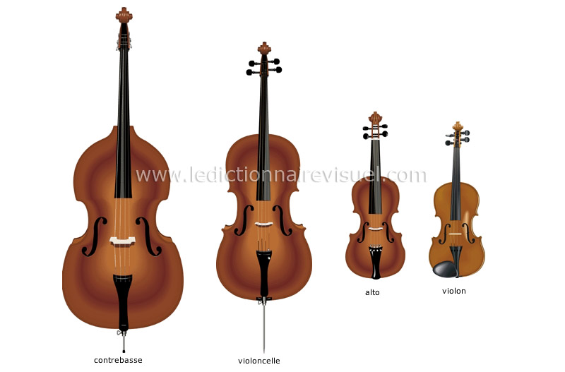 famille du violon image