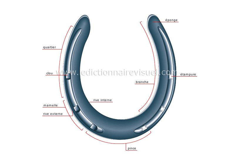 Fer à cheval — Wikipédia