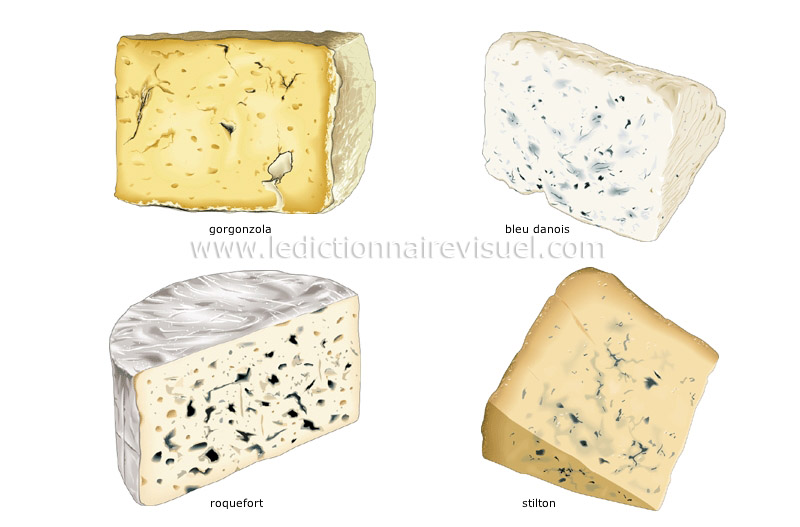fromages à pâte persillée image