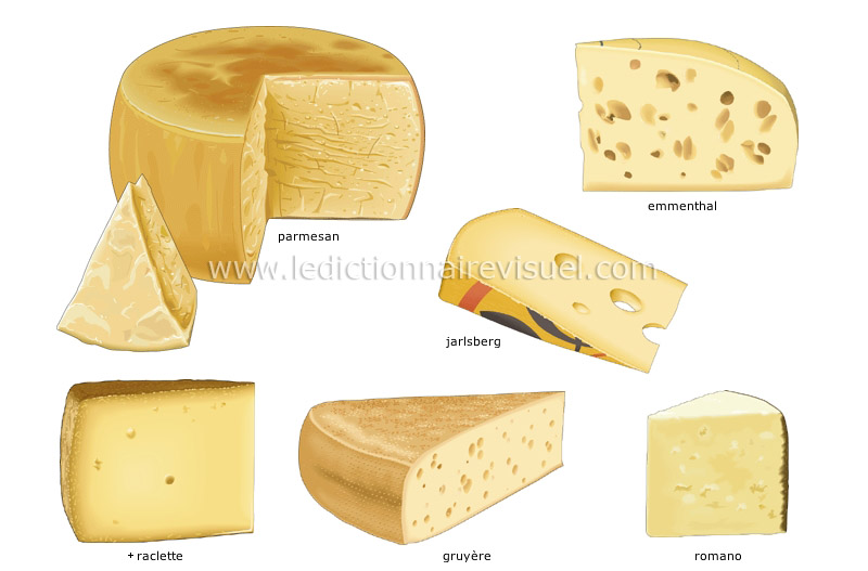 fromages à pâte pressée image