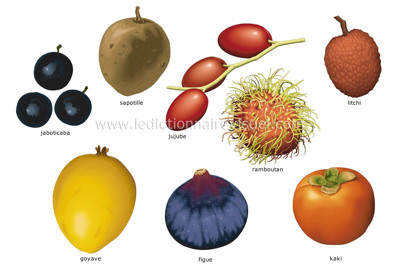 fruits tropicaux image