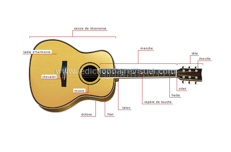 arts et architecture > musique > instruments à cordes > guitare acoustique  image - Dictionnaire Visuel