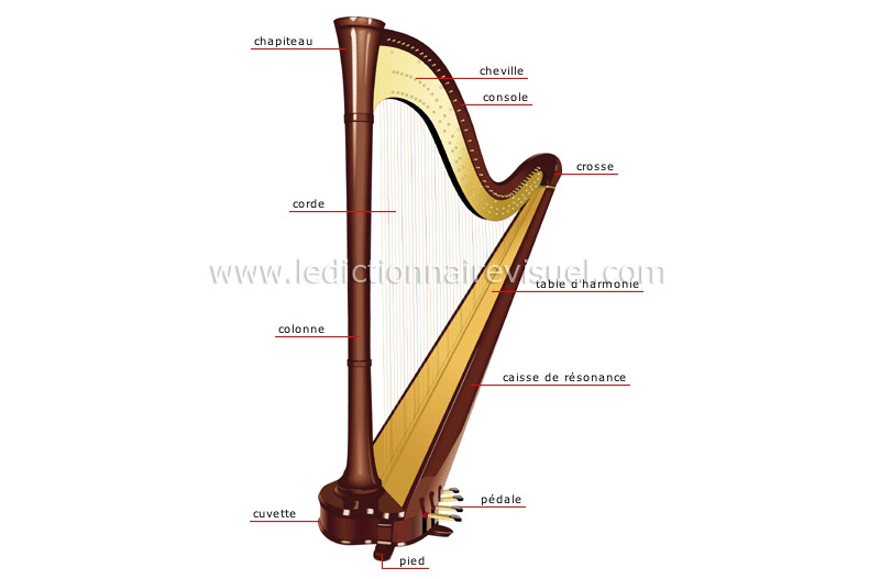 Cordes, tailles, pédales… Trois choses cool et étonnantes à savoir sur la  harpe