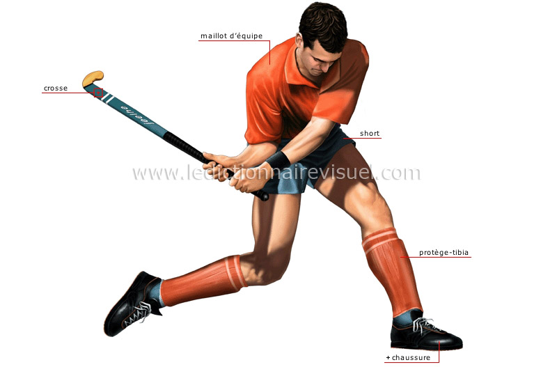 hockeyeur image