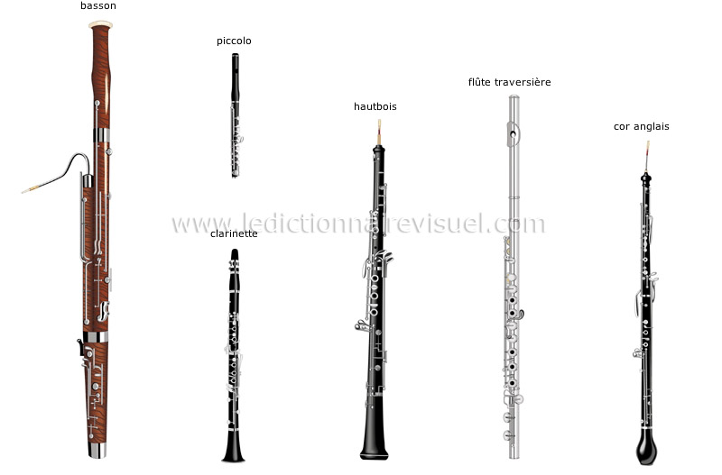 Flûtes traversières - Instruments à vent - Instruments de musique