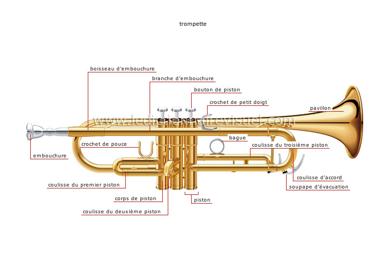 instruments à vent image