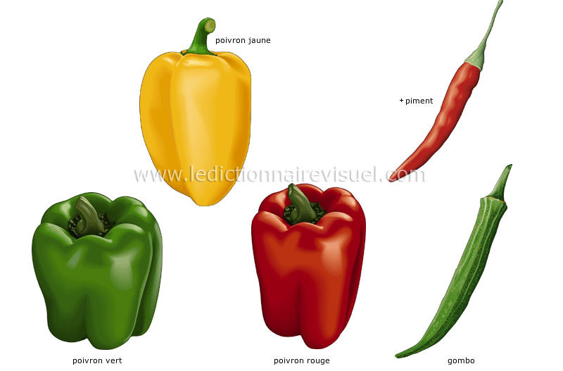 légumes fruits image