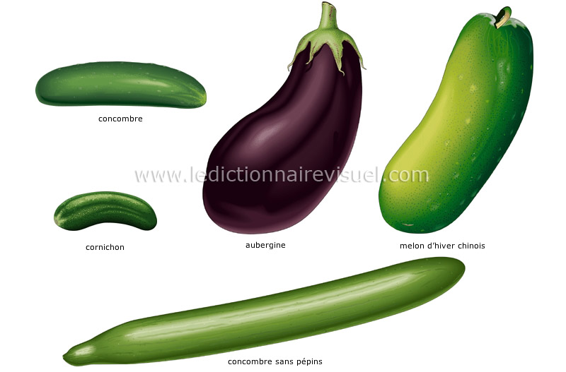 Légumes fruits  Dictionnaire Visuel