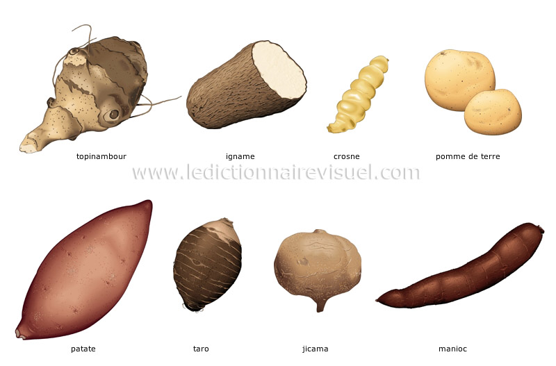 légumes tubercules image