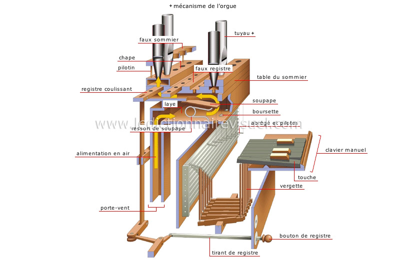 orgue image