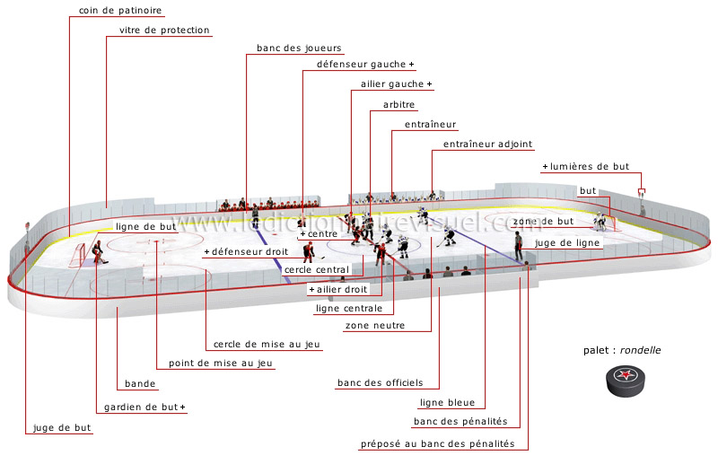 patinoire image