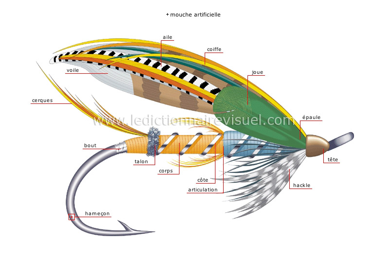 sports et jeux > loisirs de plein air > pêche > pêche à la mouche image -  Dictionnaire Visuel