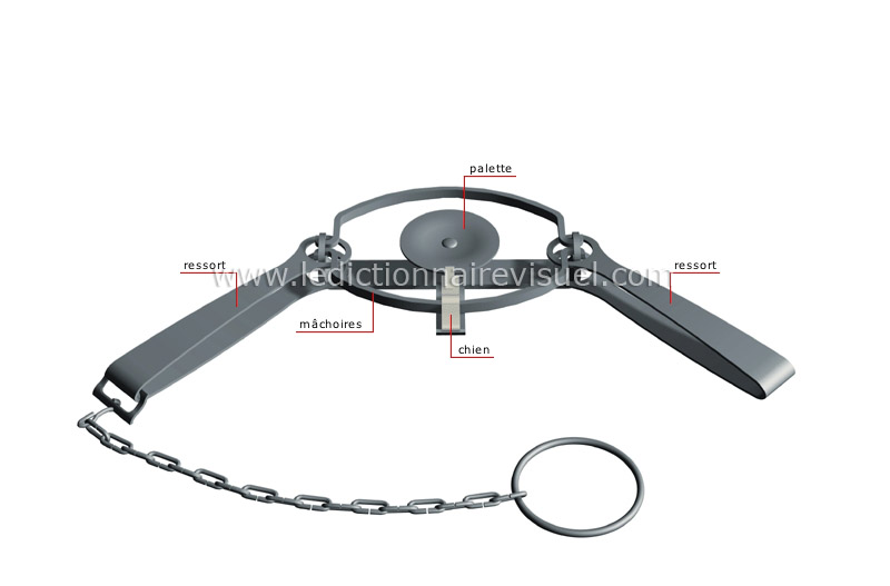 piège à patte à mâchoires image