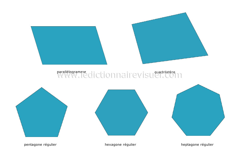 polygones image