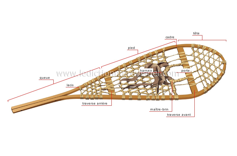 raquette algonquine image