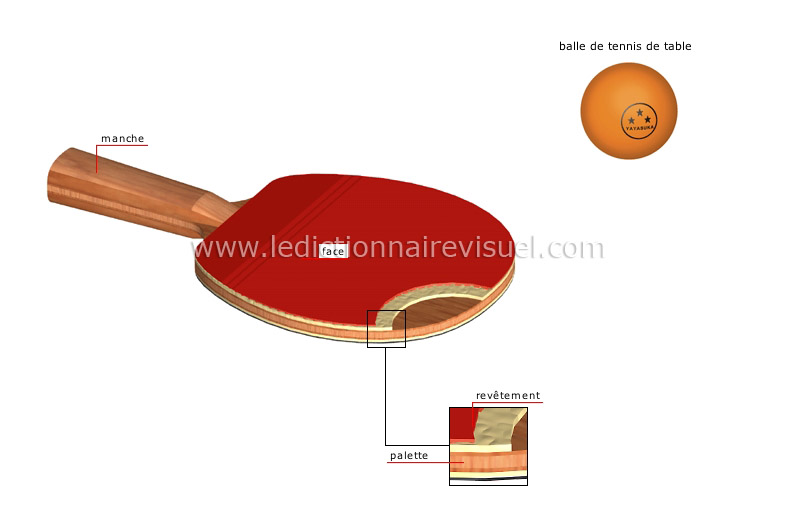 sports et jeux > sports de raquette > tennis de table > raquette de tennis  de table image - Dictionnaire Visuel