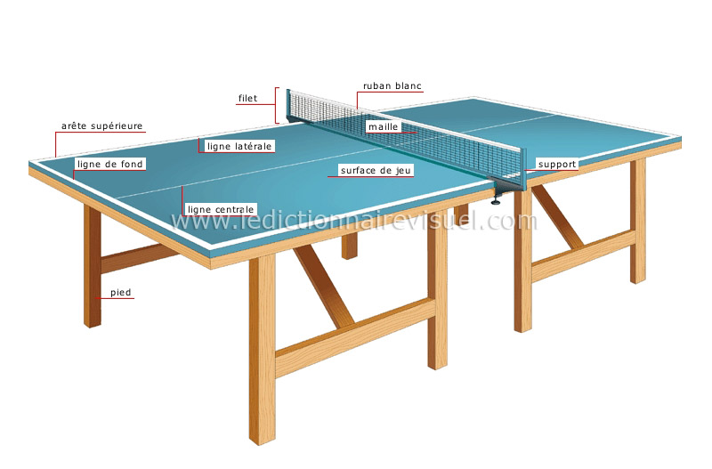 sports et jeux > sports de raquette > tennis de table > raquette de tennis  de table image - Dictionnaire Visuel