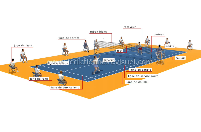 sports et jeux > sports de raquette > badminton > volant de plumes image -  Dictionnaire Visuel